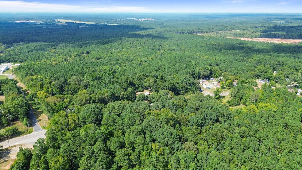 Primary Photo Of Hwy 109 N @ Cobb Street, Wadesboro Land For Sale