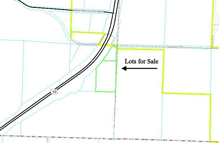 Primary Photo Of Sammis Trl, Rapid City Land For Sale