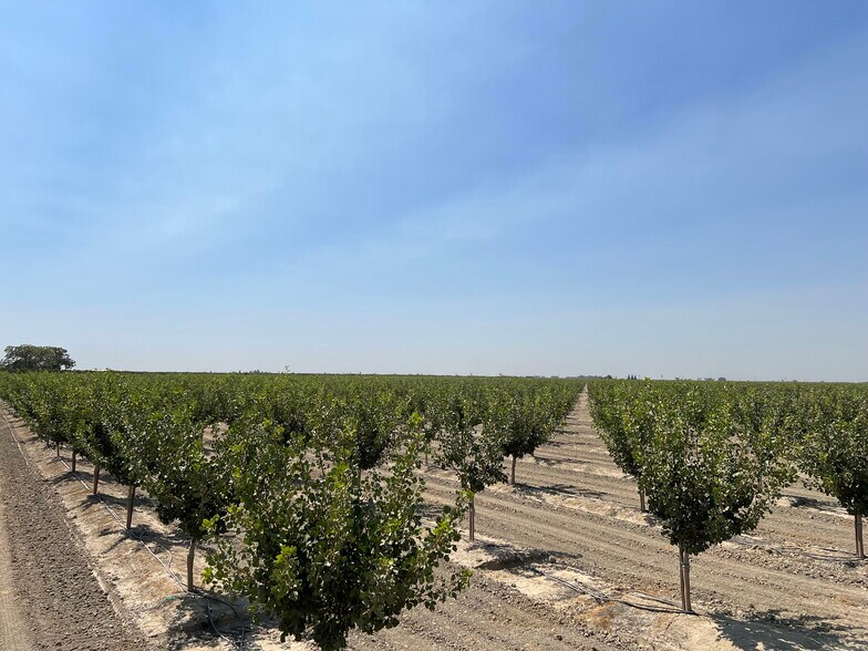 More Photos Of Idaho Ave @ 5th Avenue, Hanford Land For Sale