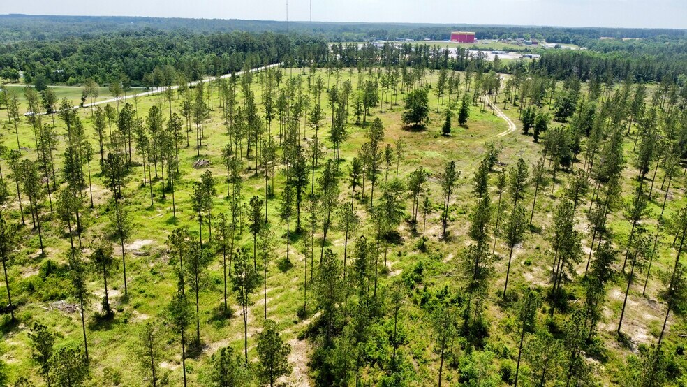 More Photos Of County Road 64, Robertsdale Land For Sale