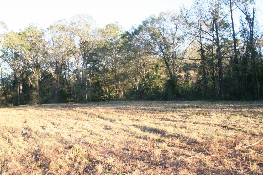 More Photos Of 542640 US Highway 1, Callahan Land For Sale