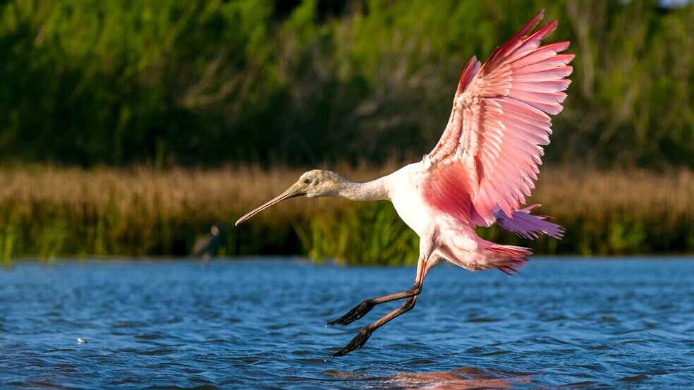 More Photos Of 1023 Victoria Lane, Gilchrist 77617, Bolivar Specialty For Sale