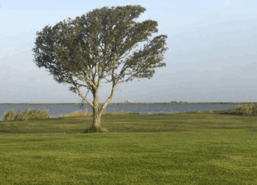 More Photos Of 1512 Main st, Anahuac Trailer Camper Park For Sale