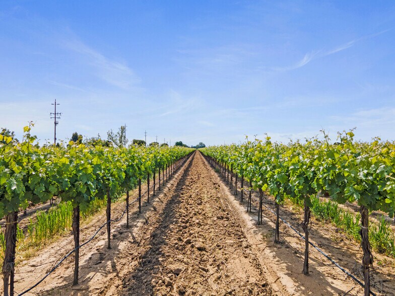 Primary Photo Of 3463 Peltier Rd., Acampo Land For Sale