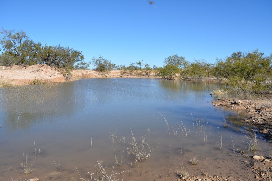 More Photos Of CR 1329, Paint Rock Land For Sale