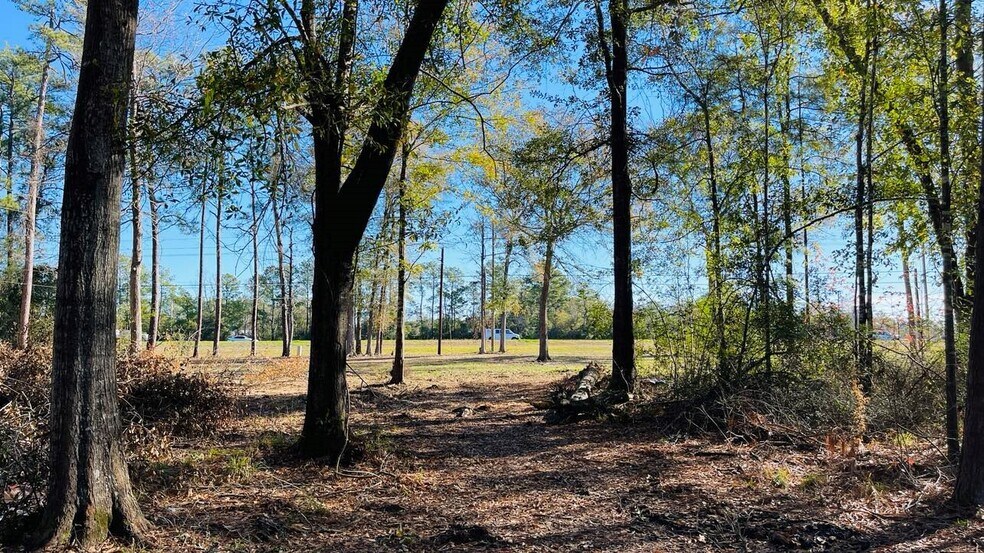 More Photos Of 4106 Hwy 69 S Hwy, Lumberton Land For Sale