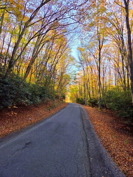 More Photos Of 0 Old Pluto Rd, Shady Spring Land For Sale