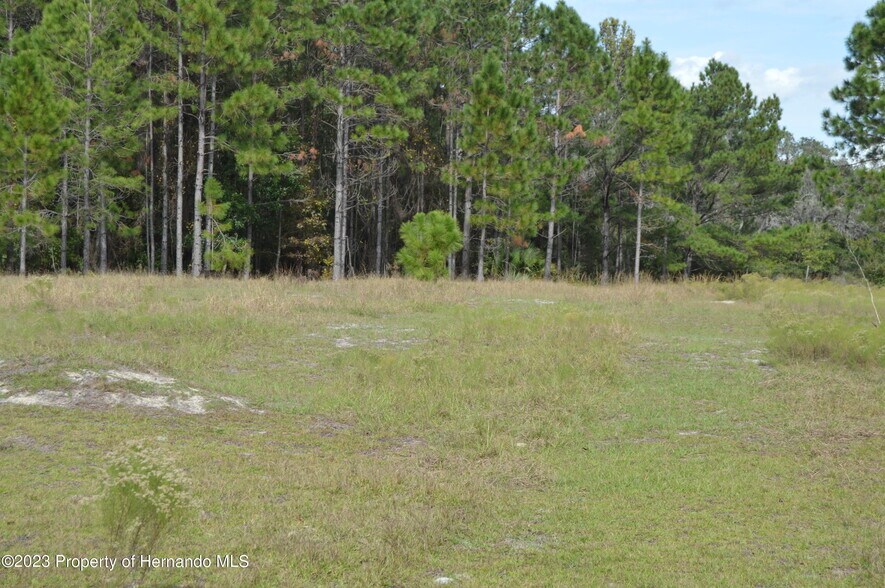 More Photos Of 0 Algood Rd, Spring Hill Land For Sale