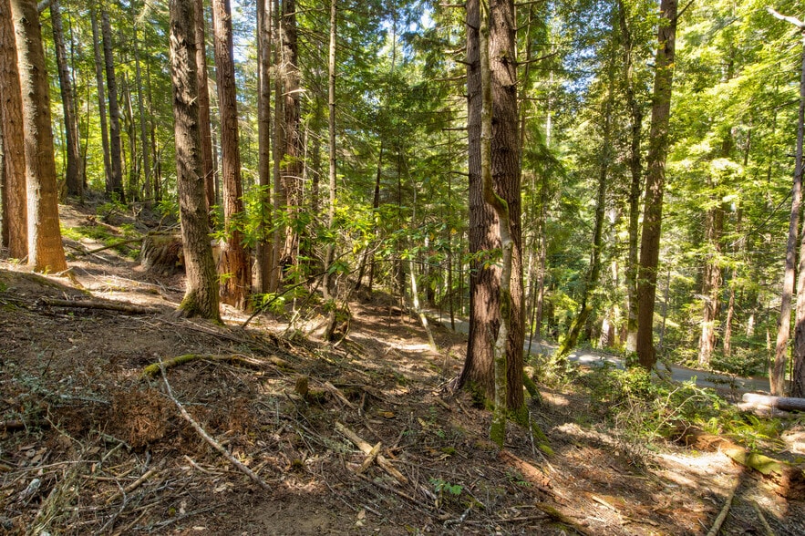 More Photos Of 33170 Frog Pond rd, Little River Land For Sale