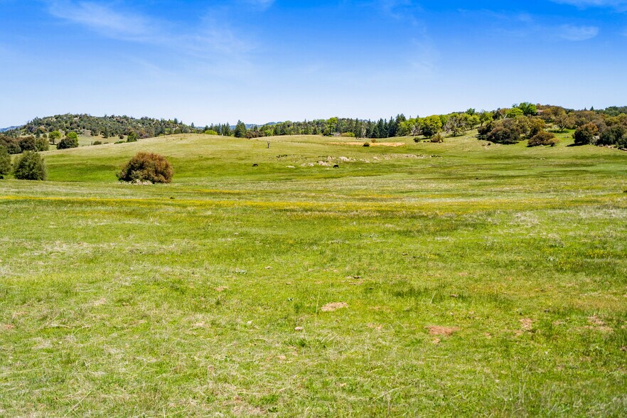 More Photos Of 3510 Deer Lake Park Road, Julian, CA 92036, USA -1, Julian Land For Sale