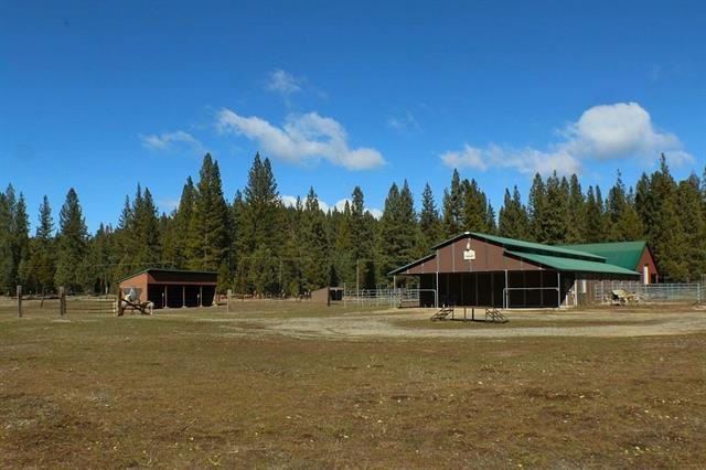 More Photos Of 1000 Golden Feather Ranch Rd, Blairsden Graeagle Land For Sale