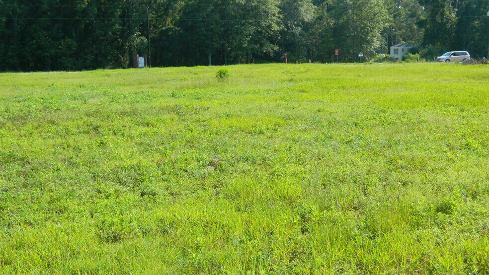More Photos Of 4603 W Highway 76, Marion Land For Sale