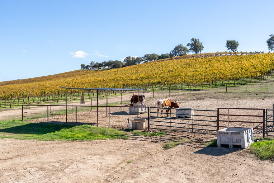 More Photos Of 7790 Airport Rd, Paso Robles Land For Sale