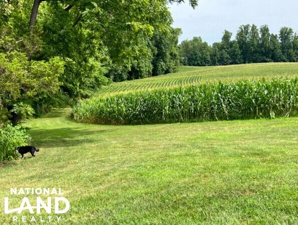 More Photos Of 5259 Ladysmith Rd, Ruther Glen Land For Sale