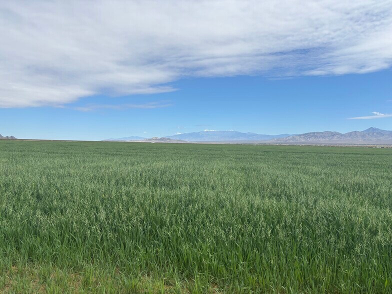 More Photos Of 89370 Two Hawk Rd, Baker Land For Sale