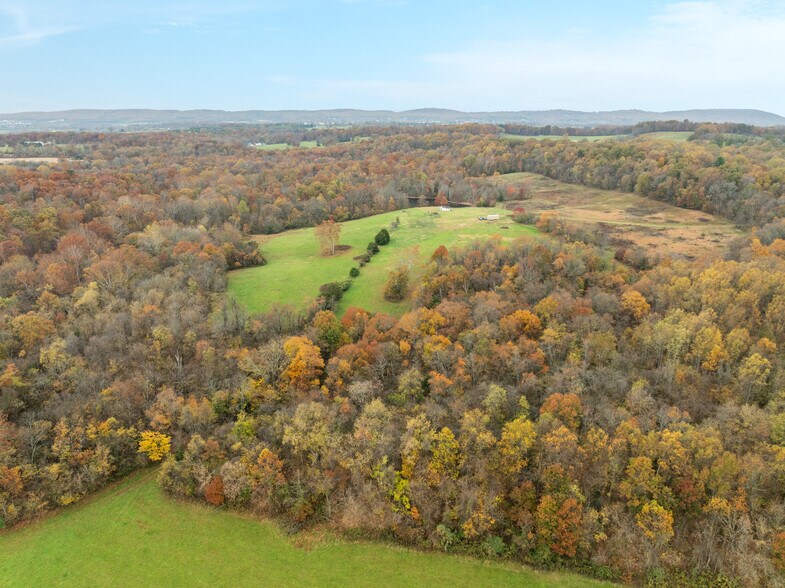 More Photos Of 43725 Spinks Ferry Rd, Leesburg Land For Sale