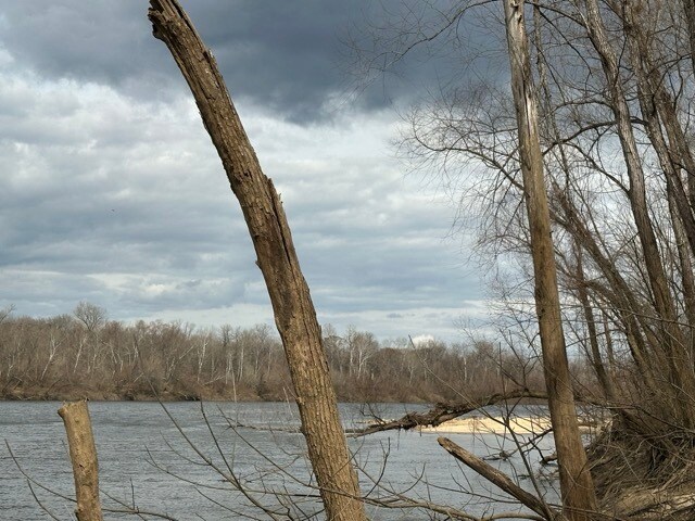 More Photos Of TBD TBD Eureka Landing Road, Uriah Land For Lease