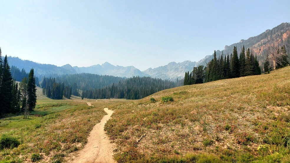 More Photos Of Legacy Timber & Recreation Tract Near Lone Lake, Marion Land For Sale