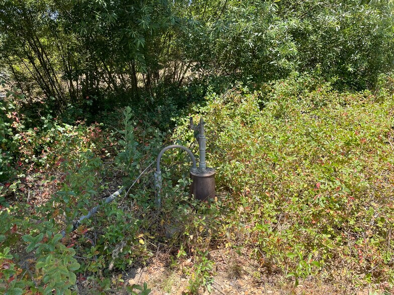 More Photos Of 44952 Vista del Mar, Temecula Winery Vineyard For Sale