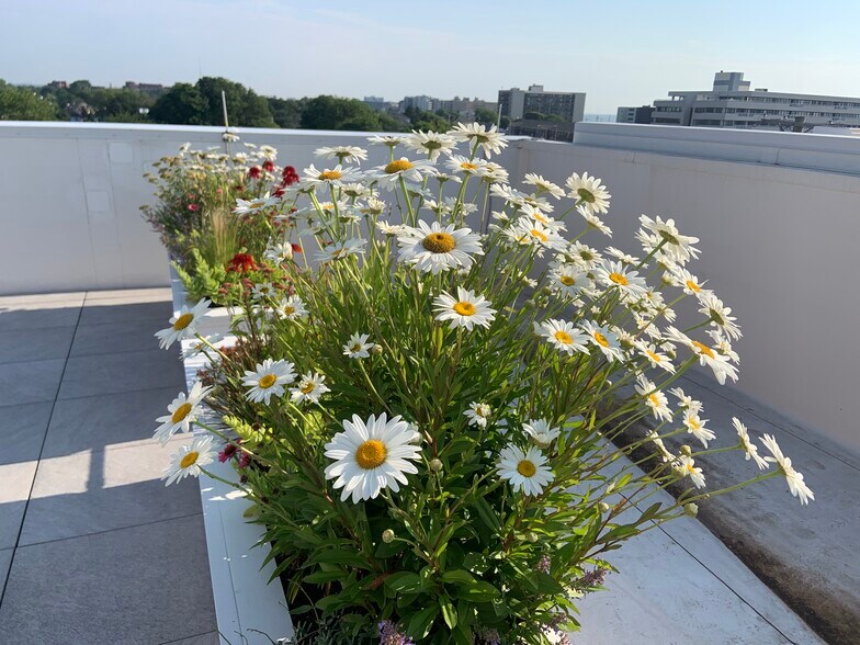 More Photos Of 57-61 Brighton Ave, Long Branch Apartments For Lease