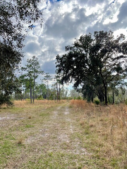 More Photos Of 19858 State Road 52, Land O' Lakes Land For Sale
