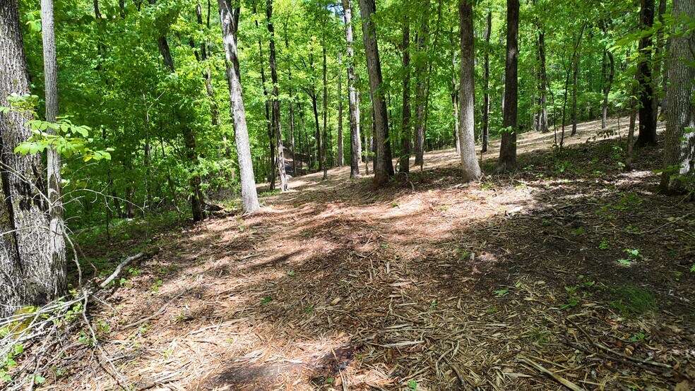 More Photos Of 0 Bullock Bridge Rd, Monroe Land For Sale