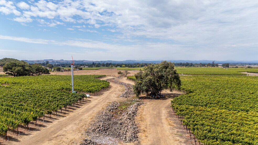 More Photos Of 3340 Lichau Rd, Penngrove Land For Sale