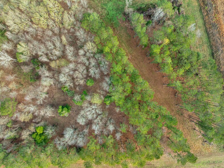 More Photos Of 1115 Evelyn Gandy Pky, Petal Land For Sale
