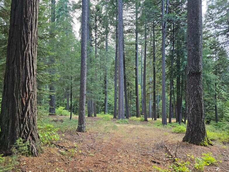 More Photos Of 1229 Blair Rd, Pollock Pines Land For Sale