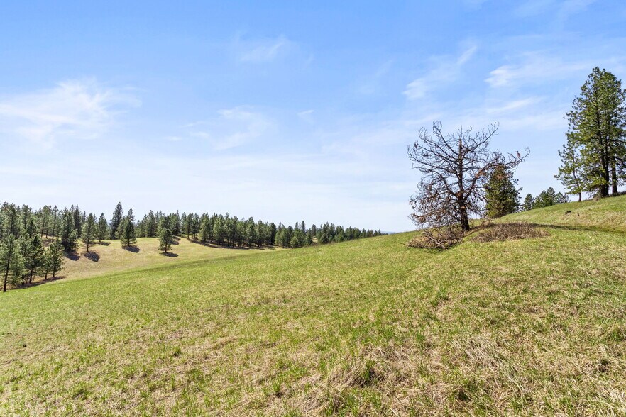 More Photos Of 15809 N Scribner Branch Rd, Spokane Land For Sale
