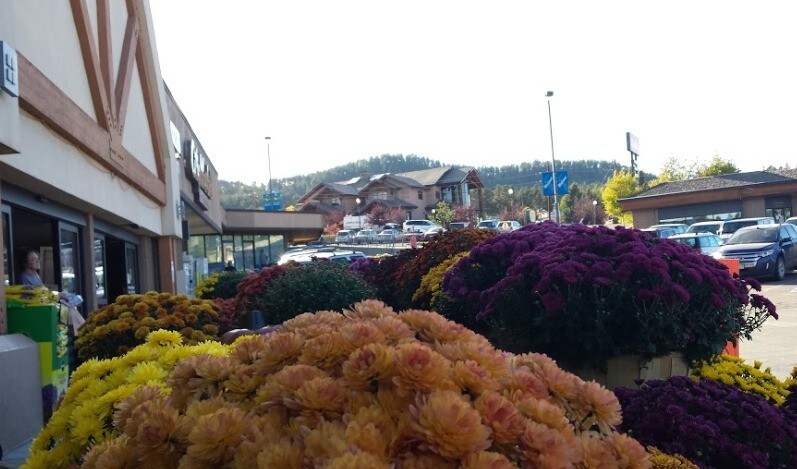 More Photos Of 701-799 Gold Hill Pl, Woodland Park Unknown For Lease