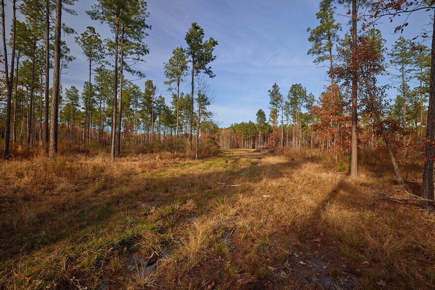 More Photos Of 480 Martin Rd, Cotton Valley Land For Sale