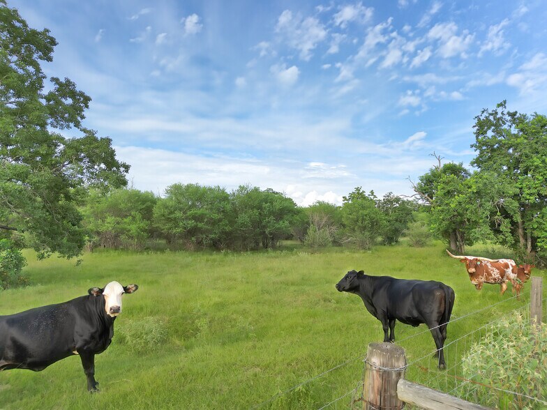 More Photos Of 868 Lisa Mae rd, Bellville Land For Sale