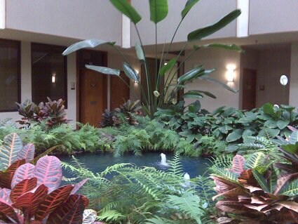 More Photos Of 824 Elmwood Park Blvd, New Orleans Medical For Lease