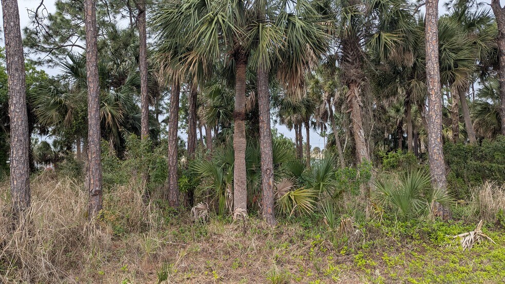 More Photos Of 4647 Eau Gallie, Melbourne Land For Sale