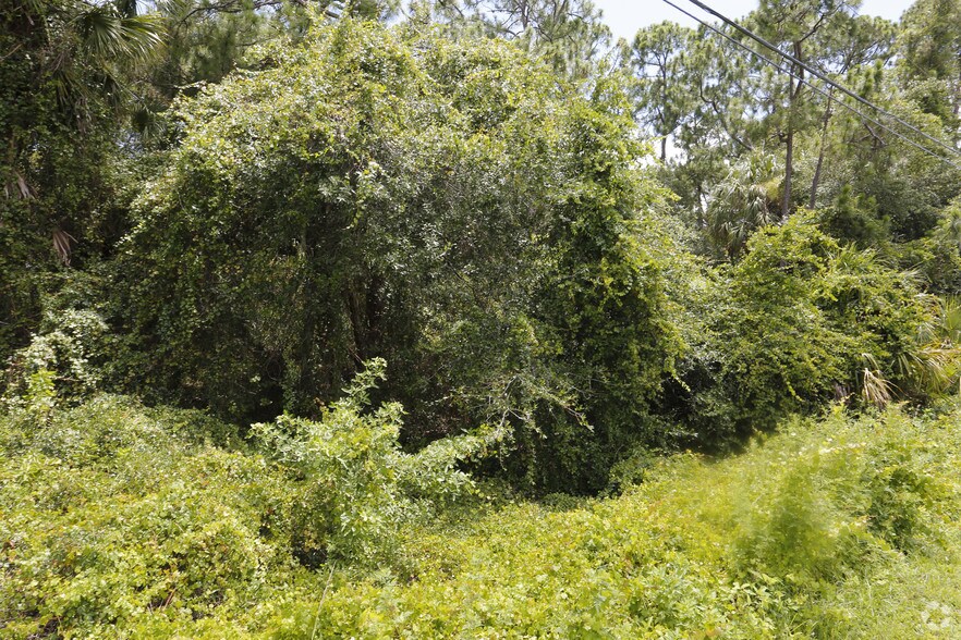 More Photos Of 1634 El Jobean Rd, Port Charlotte Land For Lease
