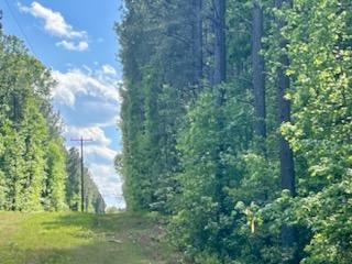 More Photos Of TBD Courthouse Rd, Sutherland Land For Sale