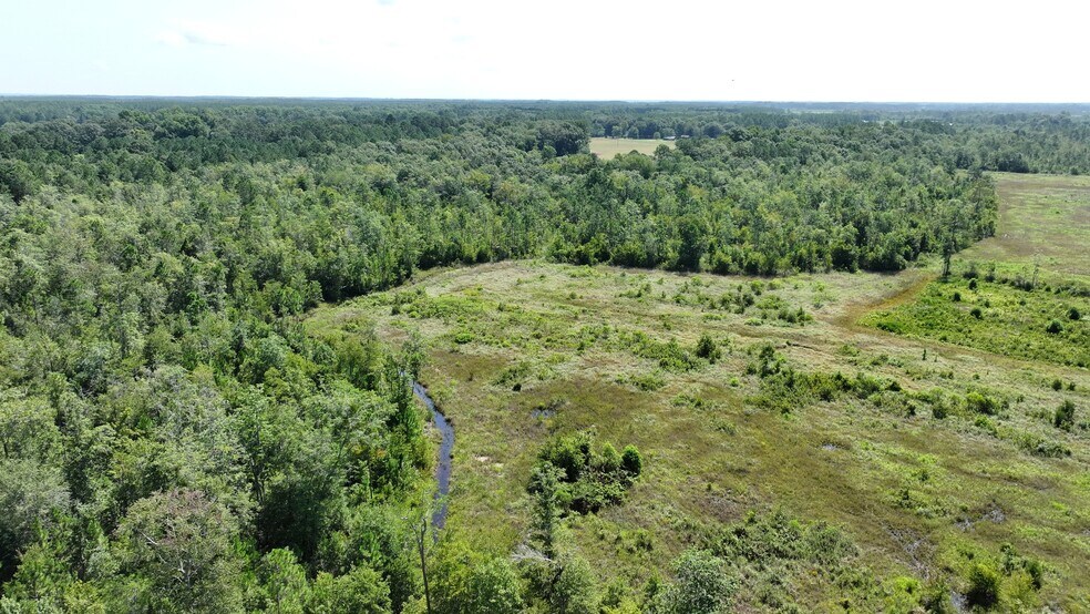 More Photos Of 0, Hazlehurst Land For Sale