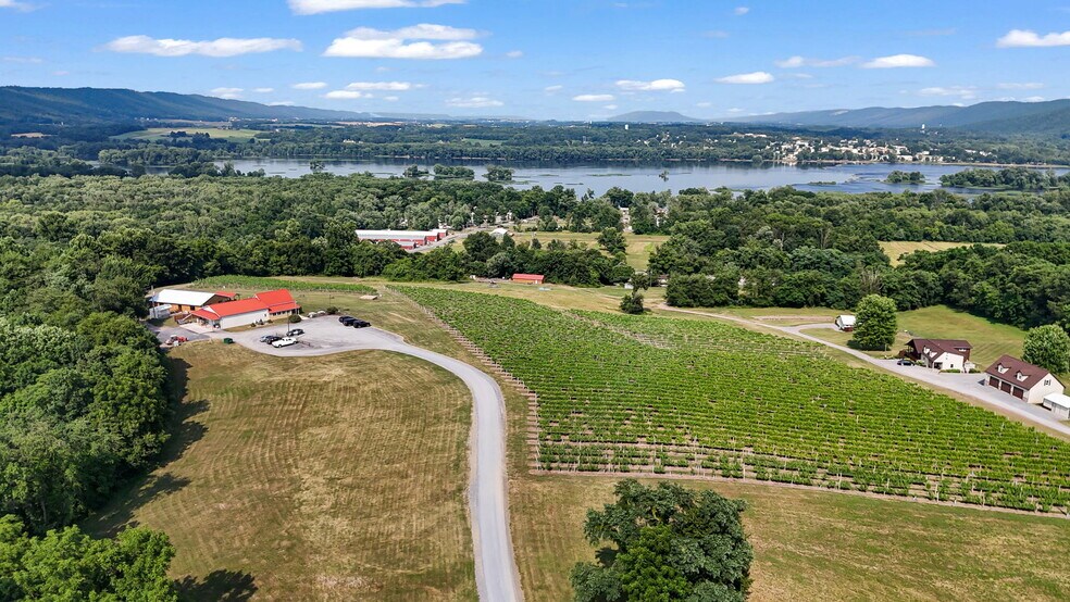 More Photos Of 3 Orchard Rd, Liverpool Winery Vineyard For Sale