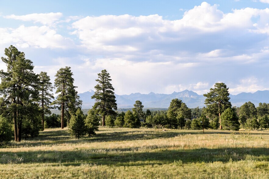 More Photos Of Highway 160 Land (4 way lighted intersections), Pagosa Springs Land For Sale
