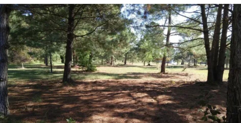 More Photos Of 577 Hoff Rd, Belhaven Land For Sale