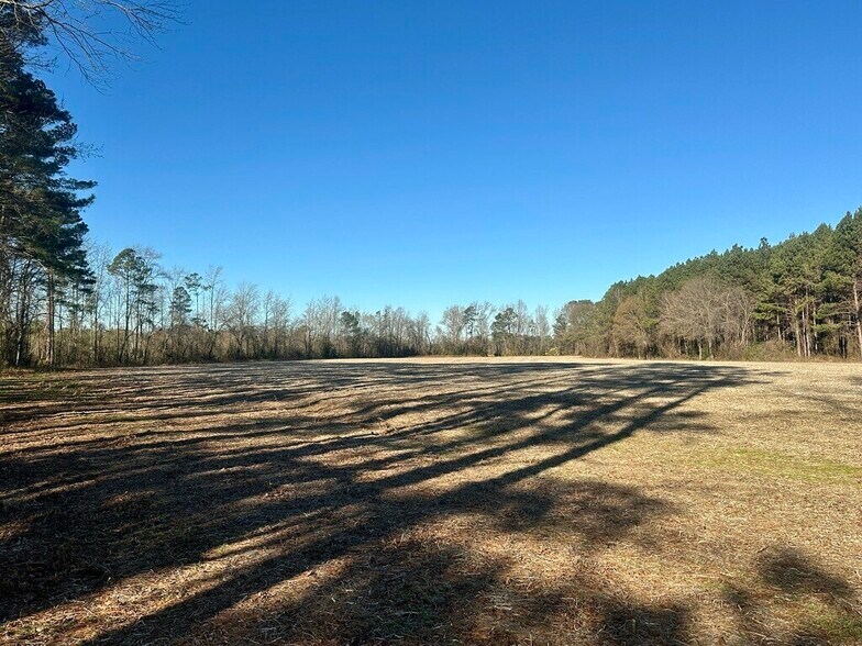 More Photos Of US Highway 301 N, Micro Land For Sale