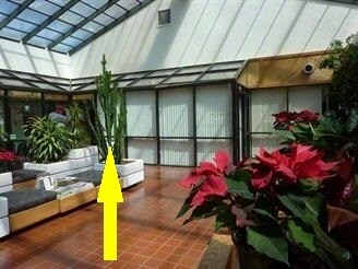 More Photos Of 283 2nd Street Pike, Southampton Office For Sale