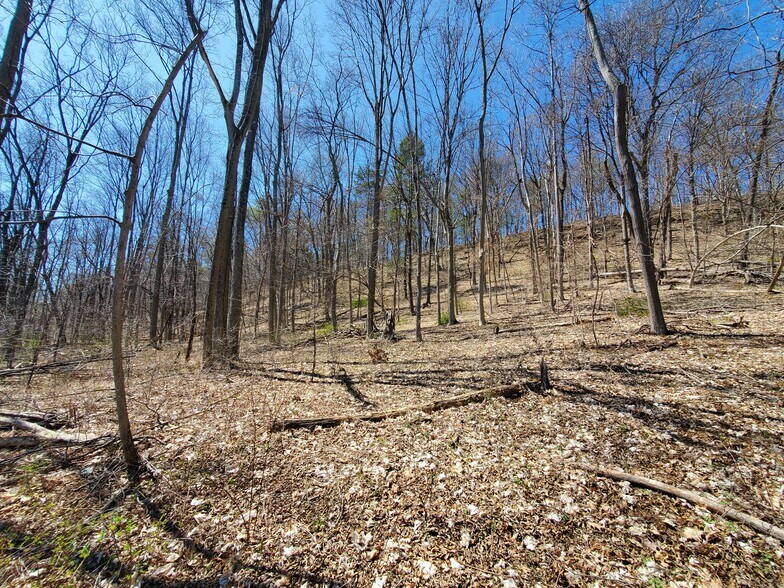 More Photos Of Old Plank Rd, Coxsackie Land For Sale