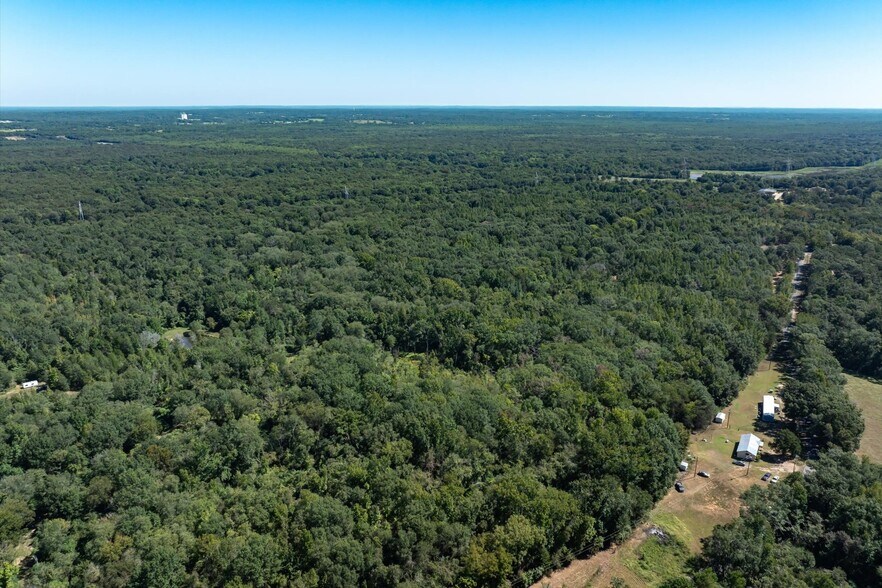 More Photos Of Tract 1 County Road 484, Mineola Land For Sale
