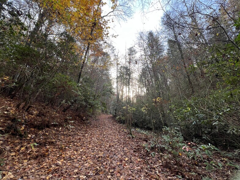 More Photos Of Whitecliff Drive, Ellijay Land For Sale