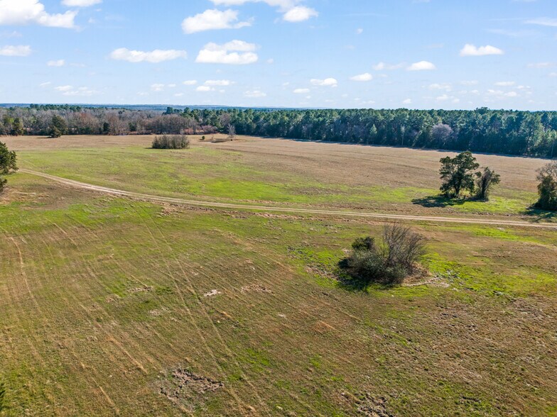 More Photos Of 255 County Road 4645, Winnsboro Land For Sale