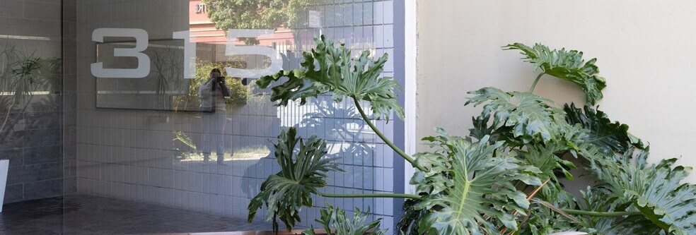 More Photos Of 315 Bay St, San Francisco Office For Lease