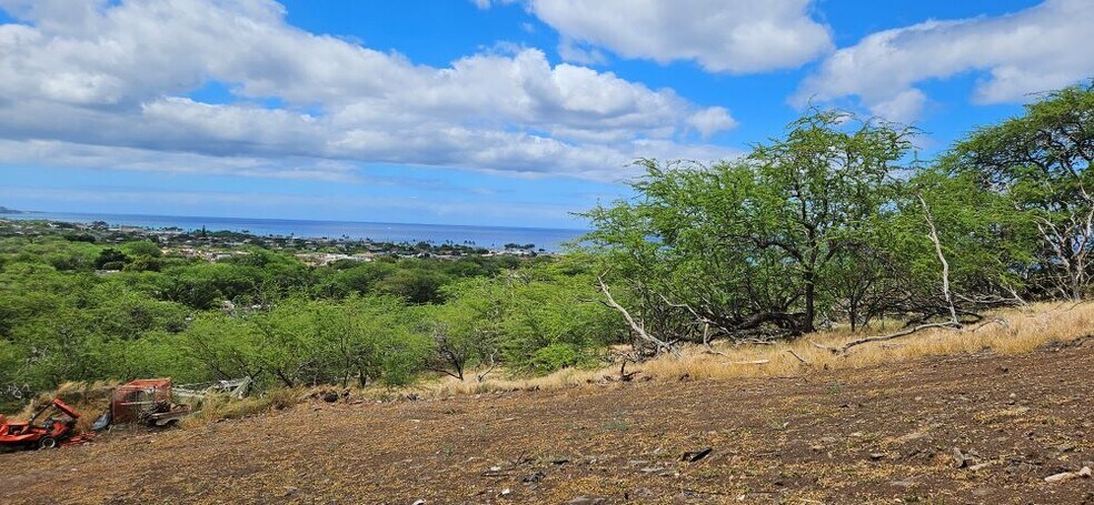 Primary Photo Of 87-472 Hakimo Rd, Waianae Land For Sale