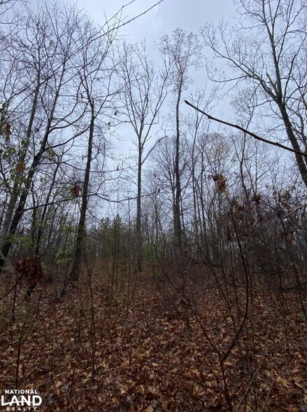 More Photos Of 0 Highway 280, Dadeville Land For Sale